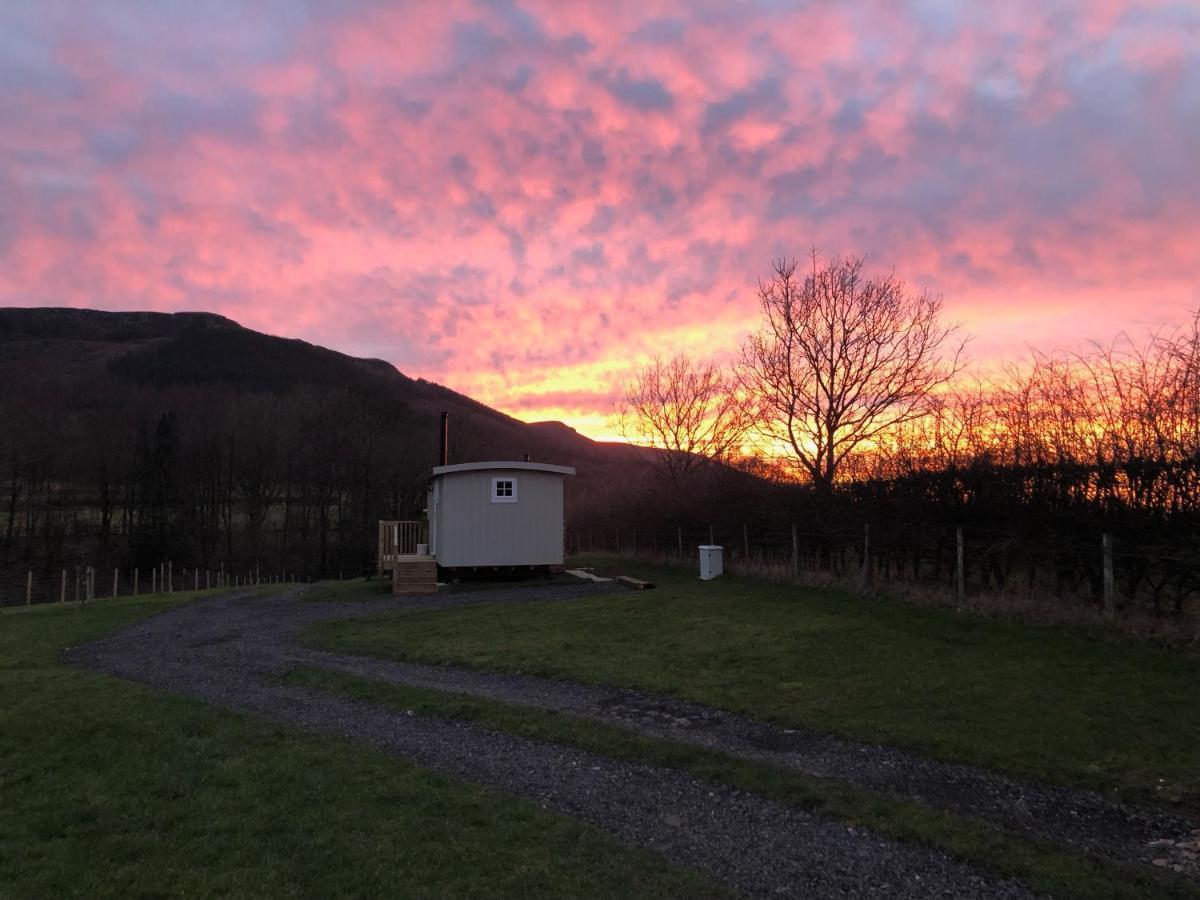 Rosemary Shepherds Hut, Clay Bank Huts Ingleby Greenhow Eksteriør billede