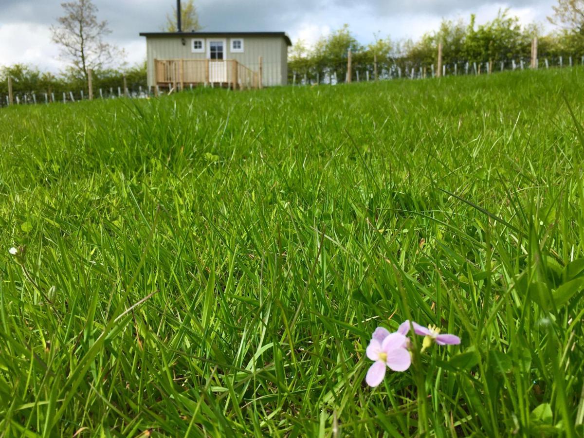 Rosemary Shepherds Hut, Clay Bank Huts Ingleby Greenhow Eksteriør billede